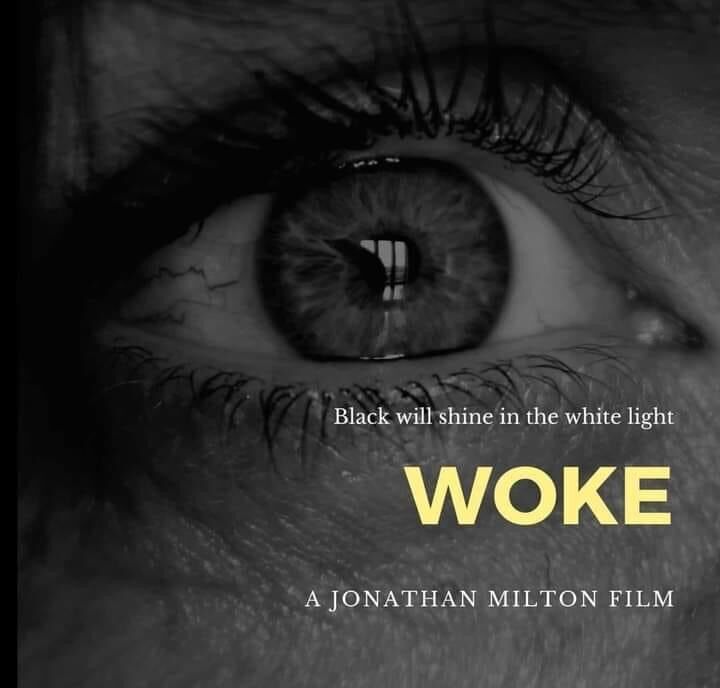 Woke Cast, OTT, Budget, Box Office, And More