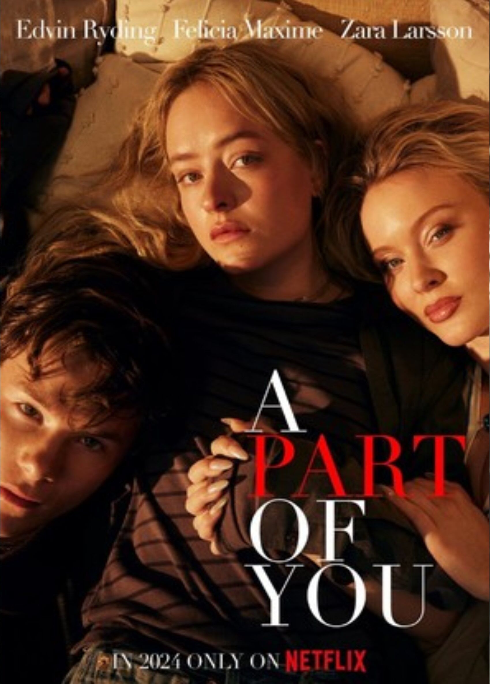 A Part of You Cast, OTT, Budget, Box Office, And More