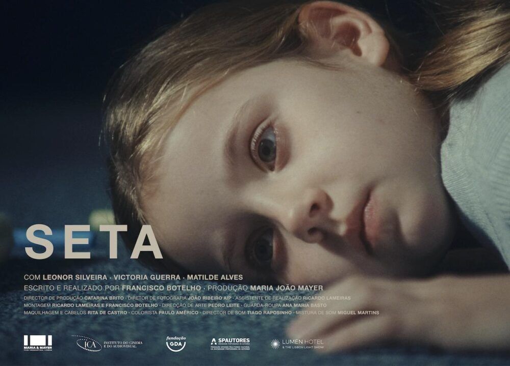 Seta Movie Cast, OTT, Budget, Box Office, And More