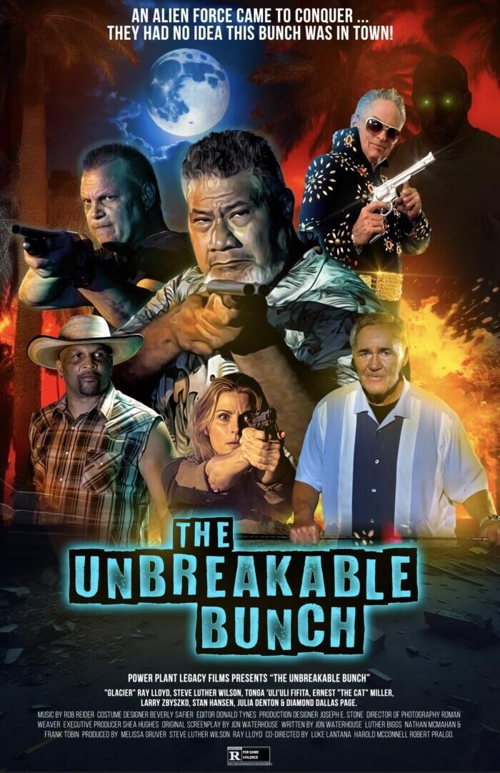 The Unbreakable Bunch Cast, OTT, Budget, Box Office, And More