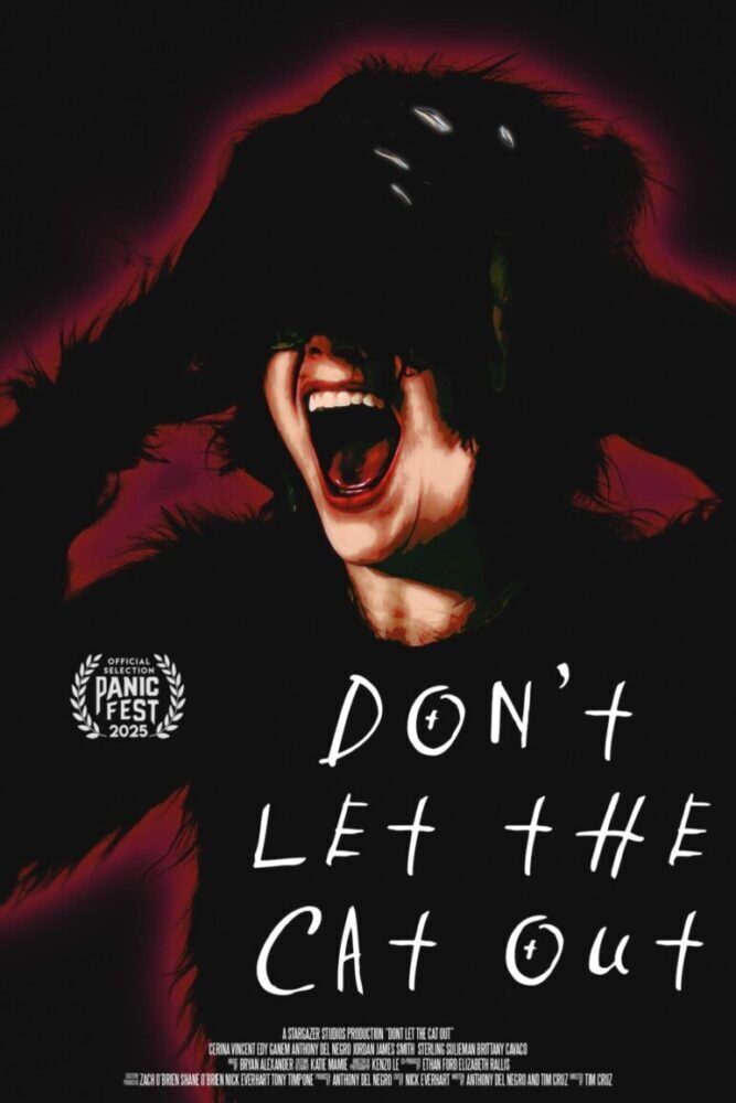 Don't Let the Cat Out 2025 Movie Cast, OTT, Budget, Box Office, And More