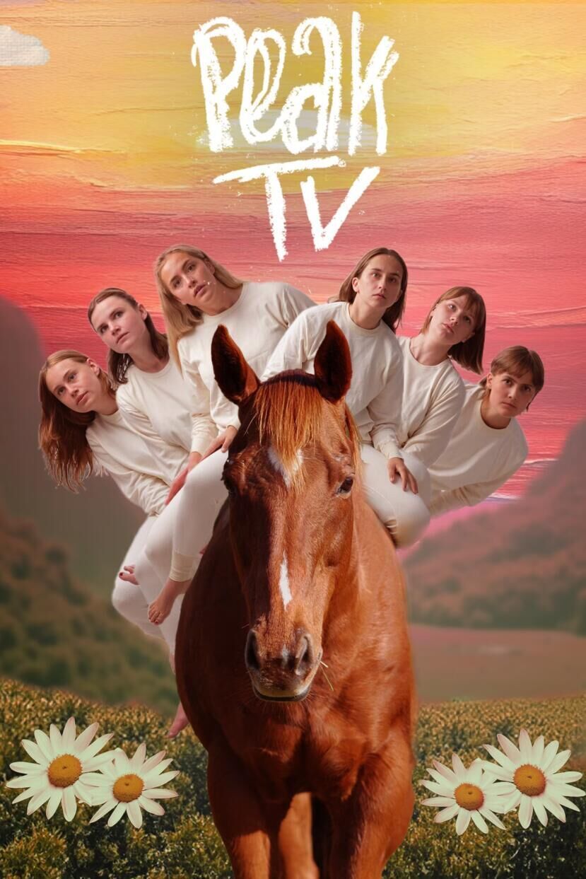 Peak TV Cast, OTT, Budget, Box Office, And More