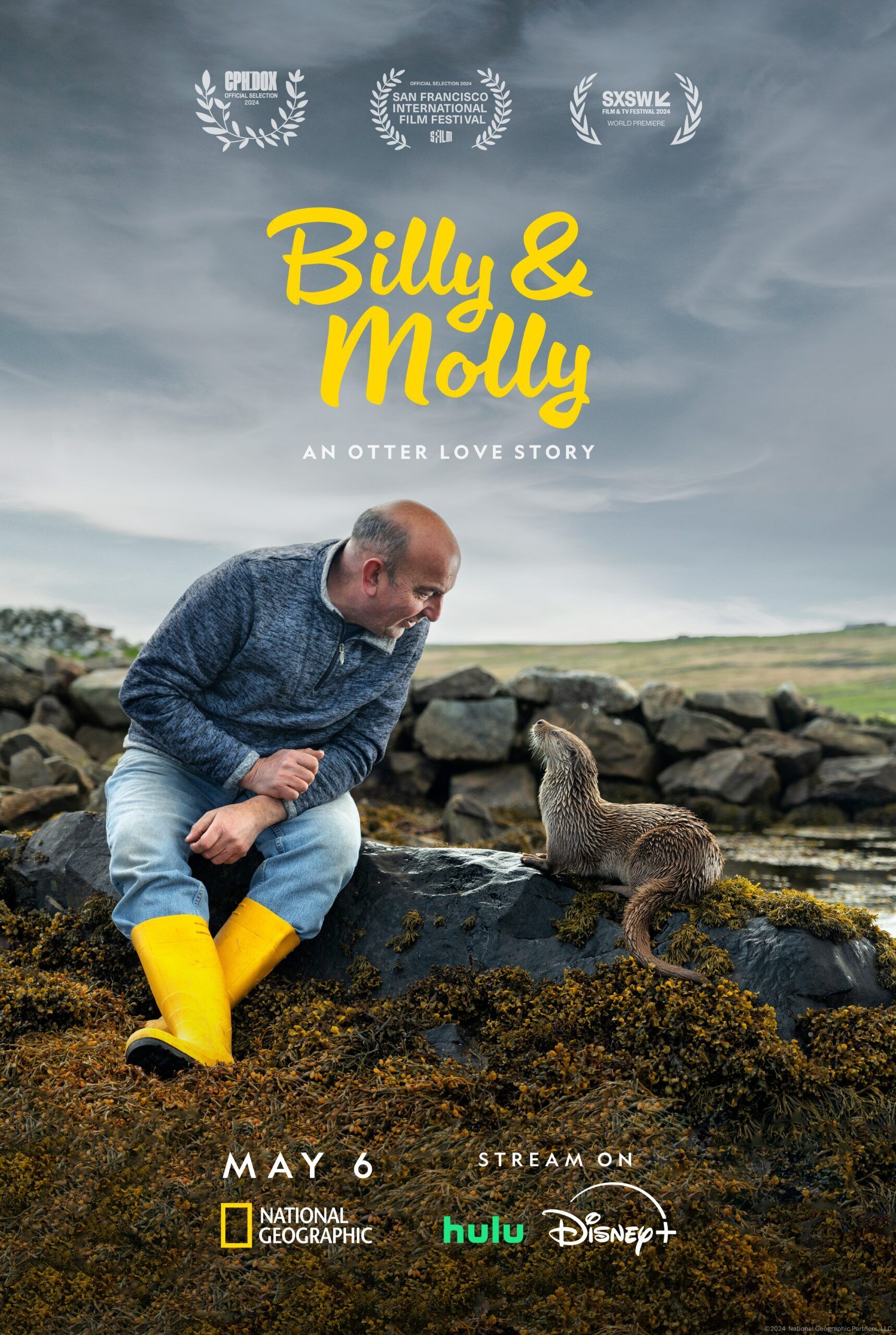 Billy & Molly: An Otter Love Story Cast, OTT, Budget, Box Office, And More
