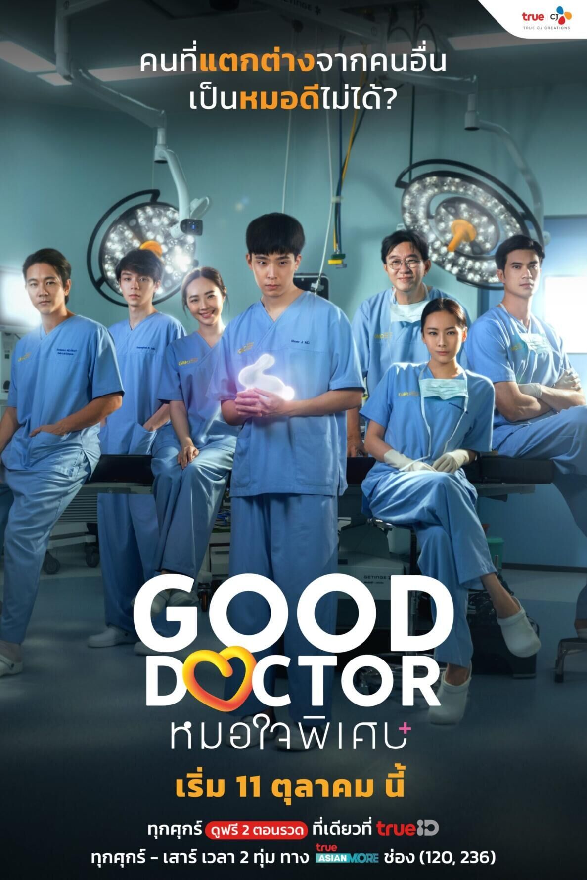 Good Doctor Thailand Cast, OTT, Budget, Box Office, And More