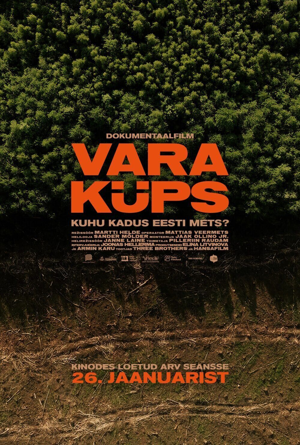 Vertical Money Cast, OTT, Budget, Box Office, And More