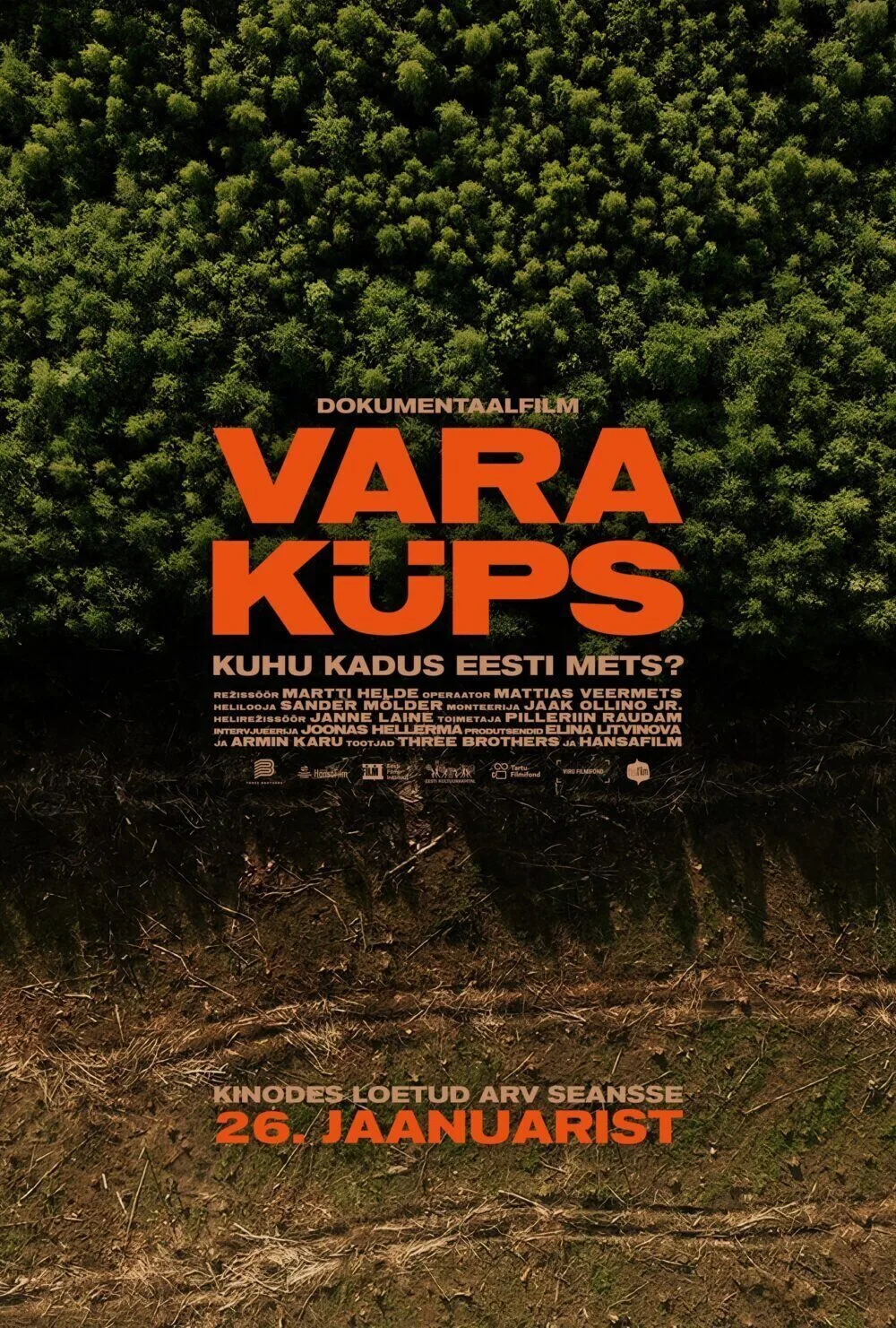 Vertical Money Cast, OTT, Budget, Box Office, And More