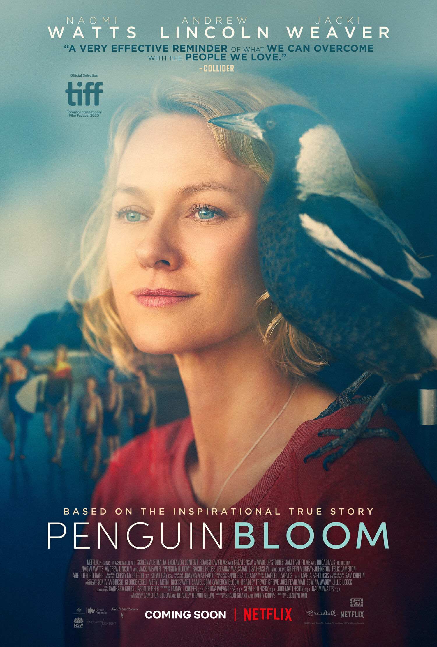 Penguin Bloom 2021 Movie Cast, OTT, Budget, Box Office, And More