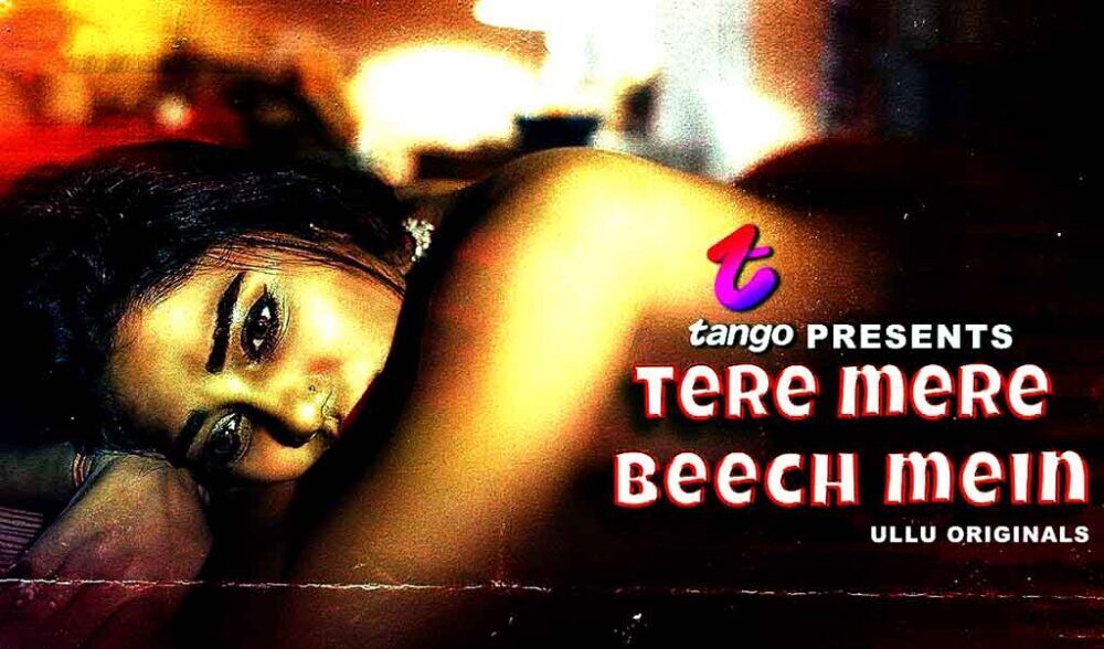 Tere Mere Beech Mein Ullu Web Series Cast