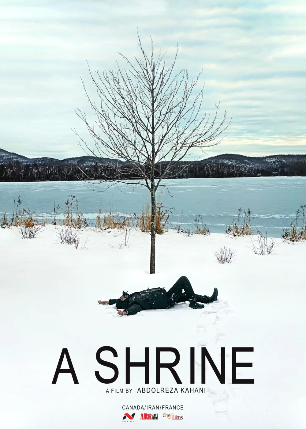 A Shrine Cast, OTT, Budget, Box Office, And More