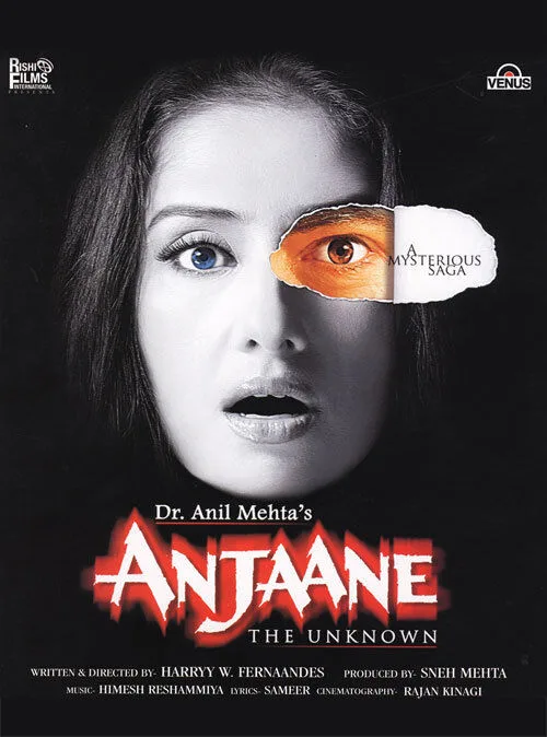 Anjaane: The Unknown 2005 Movie Cast, OTT, Budget, Box Office, And More