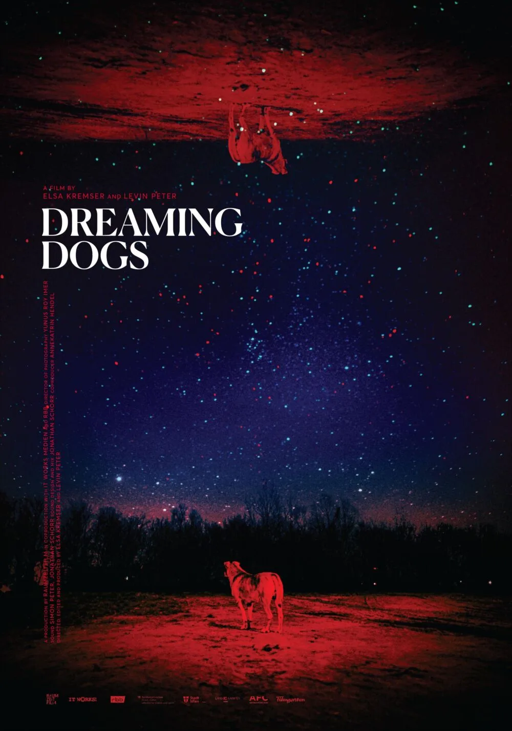 Dreaming Dogs Cast, OTT, Budget, Box Office, And More