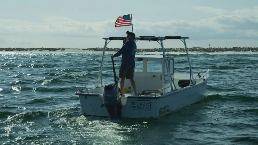 Great White Summer Cast, OTT, Budget, Box Office, And More