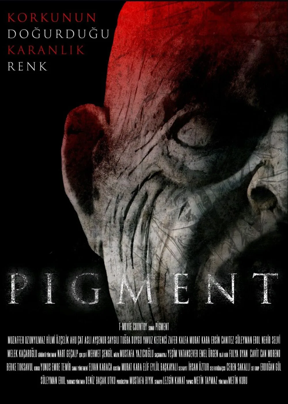 Pigment Cast, OTT, Budget, Box Office, And More