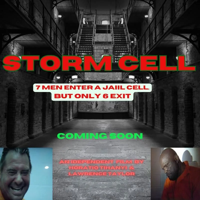 Storm Cell Cast, OTT, Budget, Box Office, And More