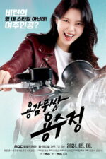 The Brave Yongsujeong Cast, OTT, Budget, Box Office, And More