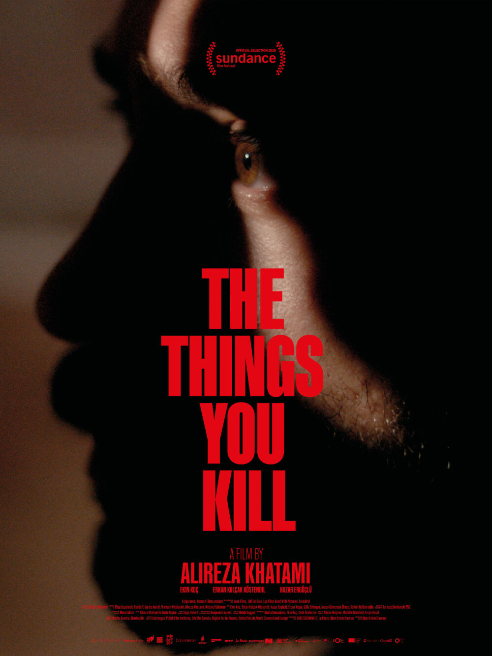 The Things You Kill 2025 Movie Cast, OTT, Budget, Box Office, And More