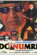 Do Numbri 1998 Movie Cast, OTT, Budget, Box Office, And More