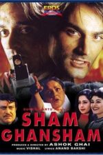 Sham Ghansham 1998 Movie Cast, OTT, Budget, Box Office, And More