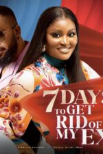 7 Days to Get Rid of My Ex 2024 Movie Cast, OTT, Budget, Box Office, And More
