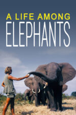 A Life Among Elephants 2024 Movie Cast, OTT, Budget, Box Office, And More