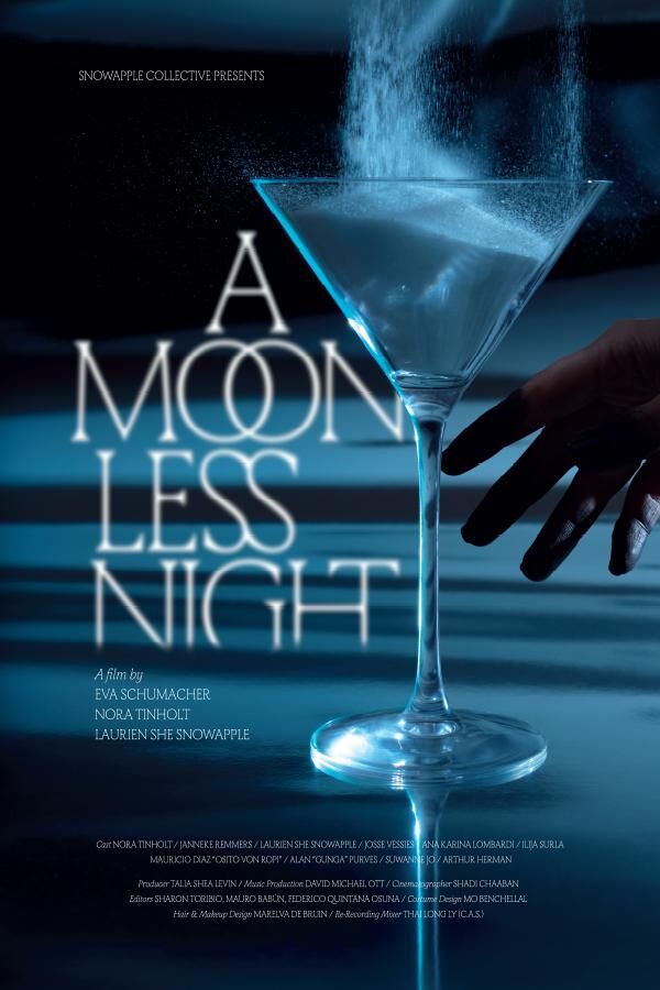 A Moonless Night 2024 Movie Cast, OTT, Budget, Box Office, And More