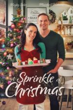 Krishna Cottage 2004 Movie Cast, OTT, Budget, Box Office, And More 16 A Sprinkle of Christmas 2024 Movie Cast, OTT, Budget, Box Office, And More