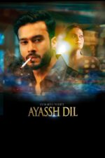 Kis Kis Ki Kismat 2004 Movie Cast, OTT, Budget, Box Office, And More 10 Ayassh Dil 2023 Movie Cast, OTT, Budget, Box Office, And More