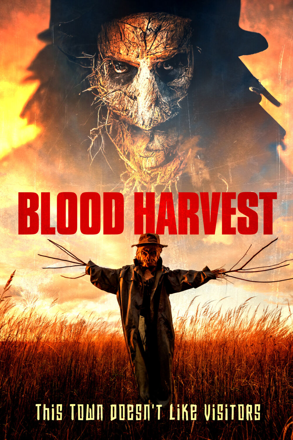 Blood Harvest 2023 Movie Cast, OTT, Budget, Box Office, And More