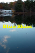 Blue Skies 2025 Movie Cast, OTT, Budget, Box Office, And More