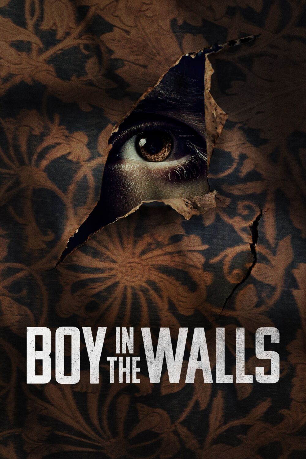 Boy in the Walls 2023 Movie Cast, OTT, Budget, Box Office, And More