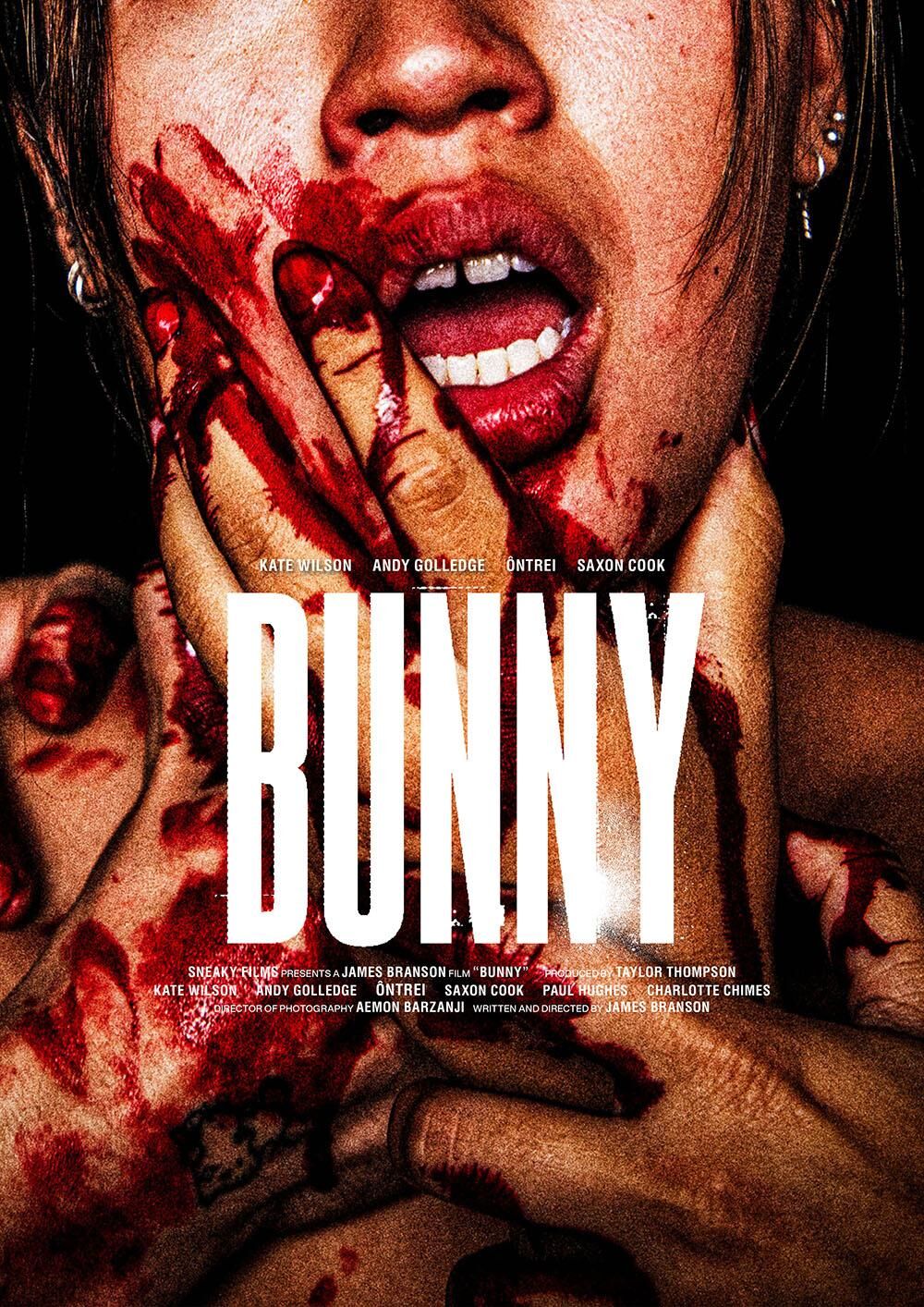 Bunny 2025 Movie Cast, OTT, Budget, Box Office, And More