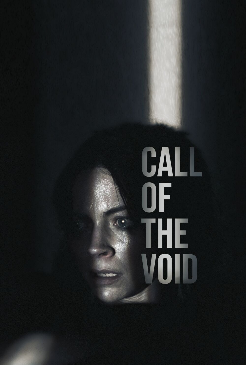 Call of the Void 2025 Movie Cast, OTT, Budget, Box Office, And More