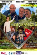 Çam Yarmasi 2 2024 Movie Cast, OTT, Budget, Box Office, And More