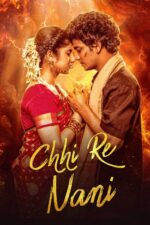 Chi Re Nani 2025 Movie Cast, OTT, Budget, Box Office, And More