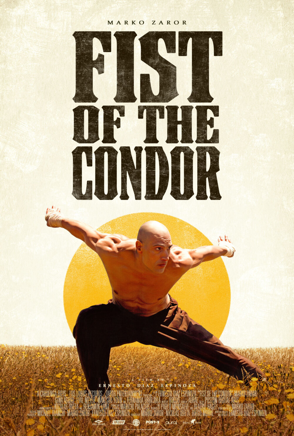 El Puño del Cóndor 2023 Movie Cast, OTT, Budget, Box Office, And More