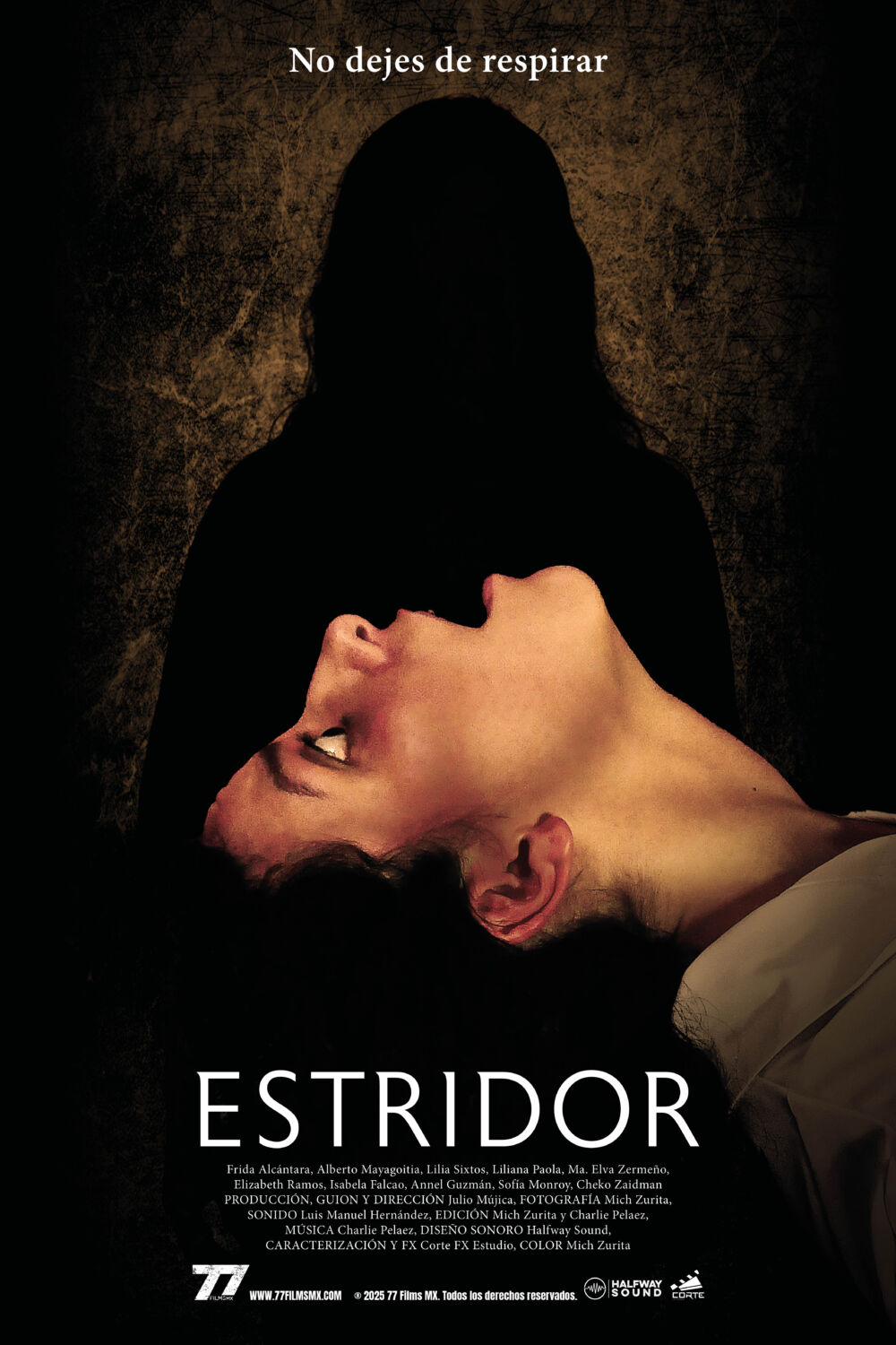 Estridor Movie Cast, OTT, Budget, Box Office, And More