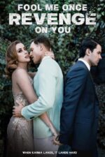 Fool Me Once, Revenge on You 2024 Movie Cast, OTT, Budget, Box Office, And More