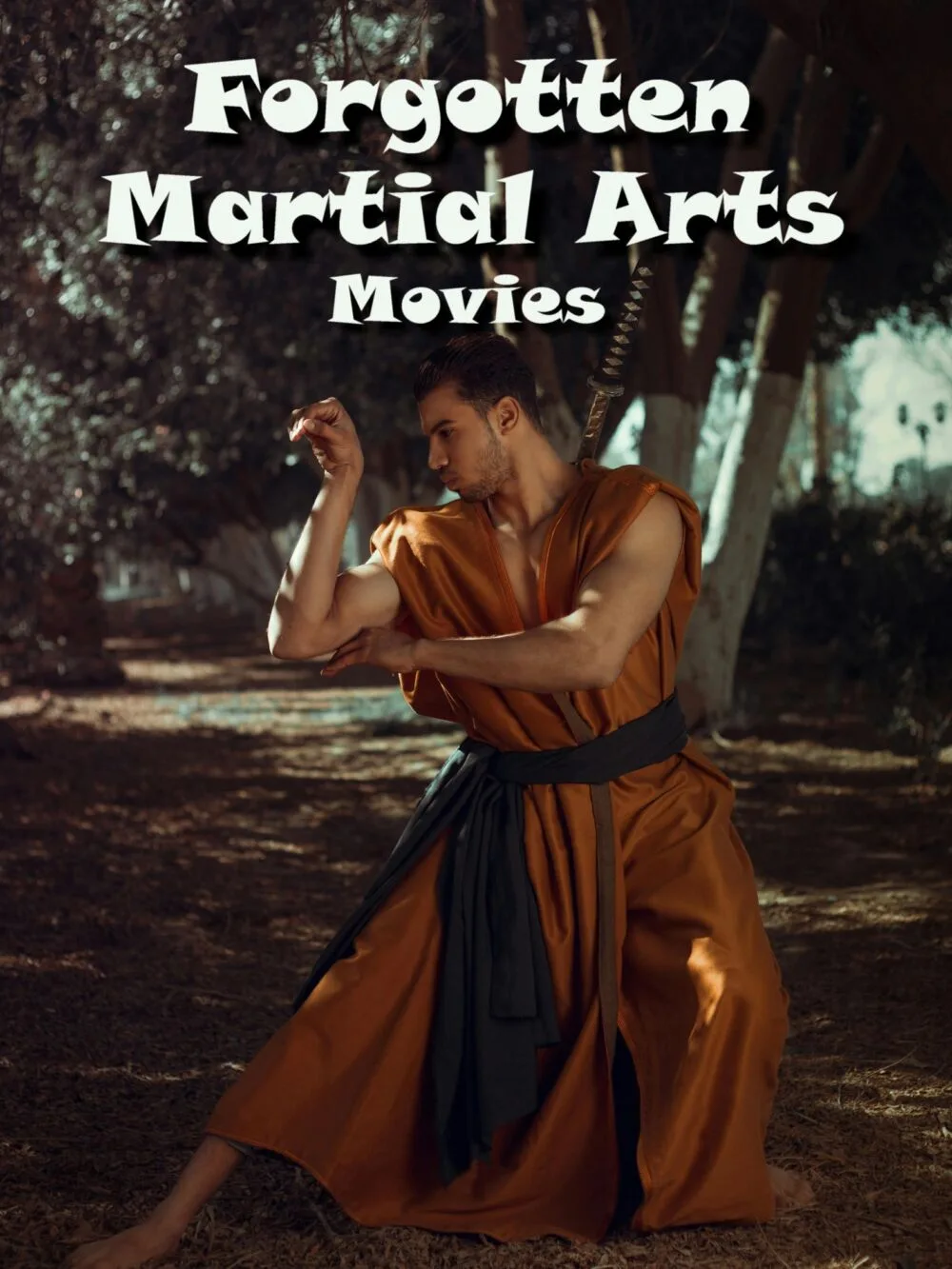 Forgotten Martial Arts Movies 2025 Movie Cast, OTT, Budget, Box Office, And More