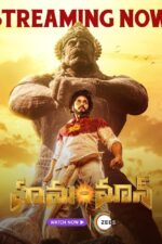 Hanu Man 2024 Movie Cast, OTT, Budget, Box Office, And More