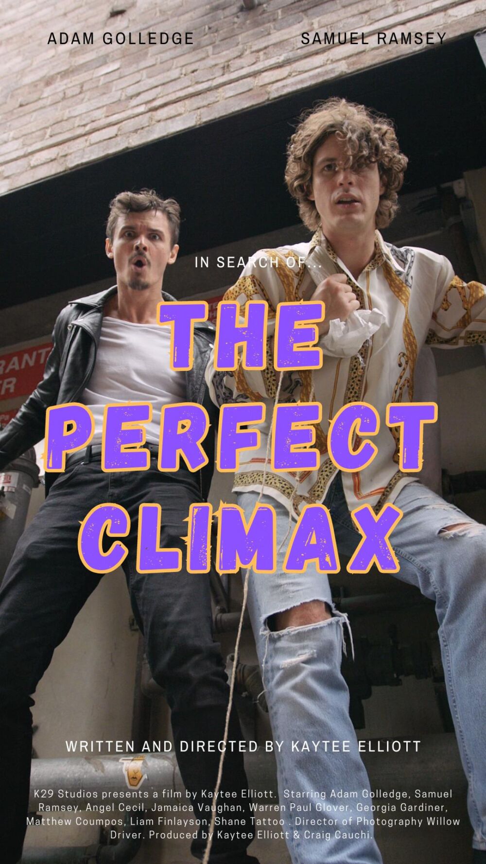 In Search of the Perfect Climax 2023 Movie Cast, OTT, Budget, Box Office, And More
