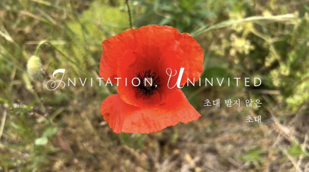 Invitation, Uninvited 2024 Movie Cast, OTT, Budget, Box Office, And More