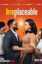 Irreplaceable 2024 Movie Cast, OTT, Budget, Box Office, And More