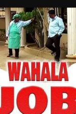 Love Wahala 2024 Movie Cast, OTT, Budget, Box Office, And More