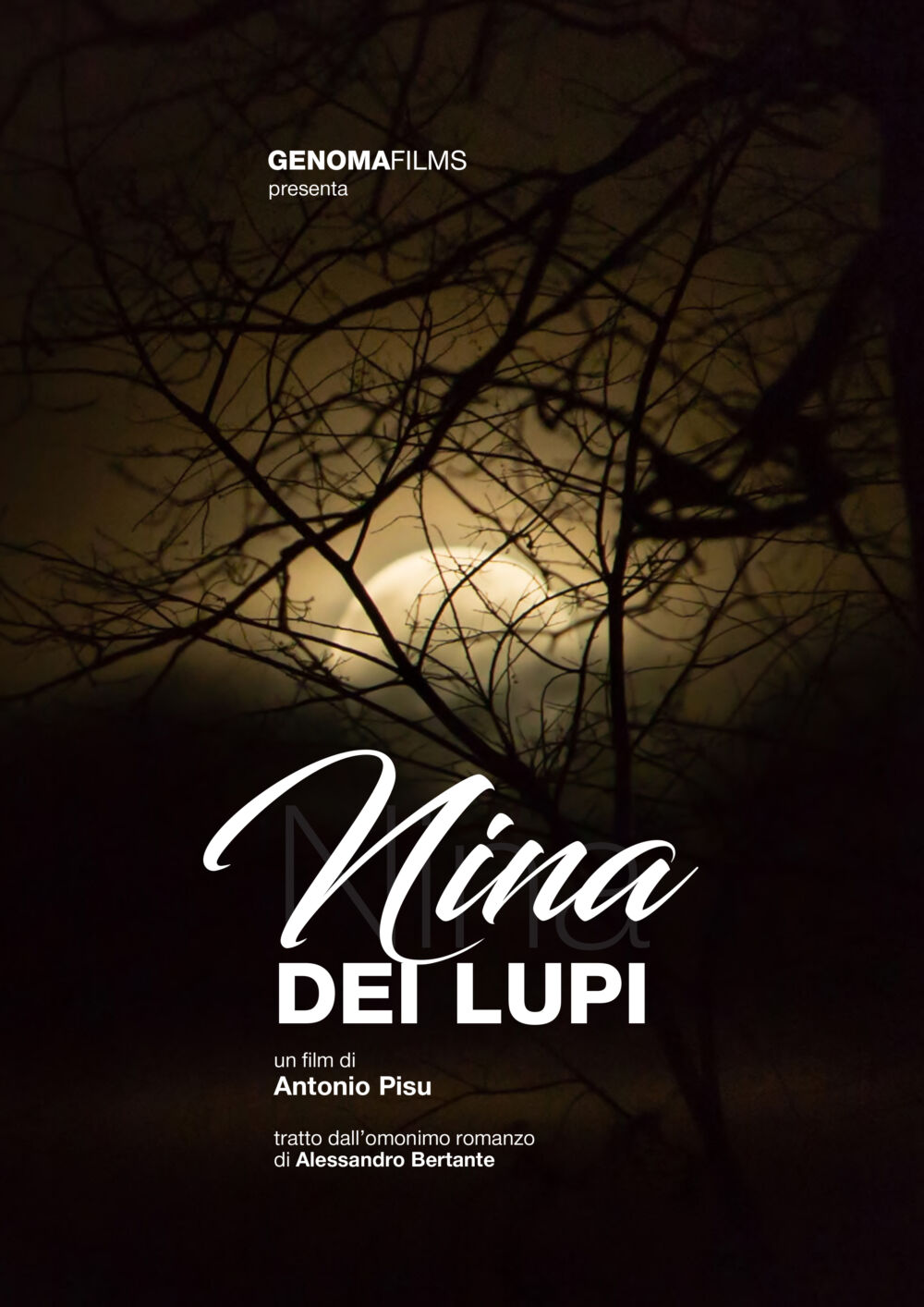 Nina dei lupi 2023 Movie Cast, OTT, Budget, Box Office, And More