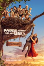 Padre no hay más que uno 5 2025 Movie Cast, OTT, Budget, Box Office, And More