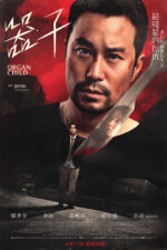 Qi zi 2025 Movie Cast, OTT, Budget, Box Office, And More
