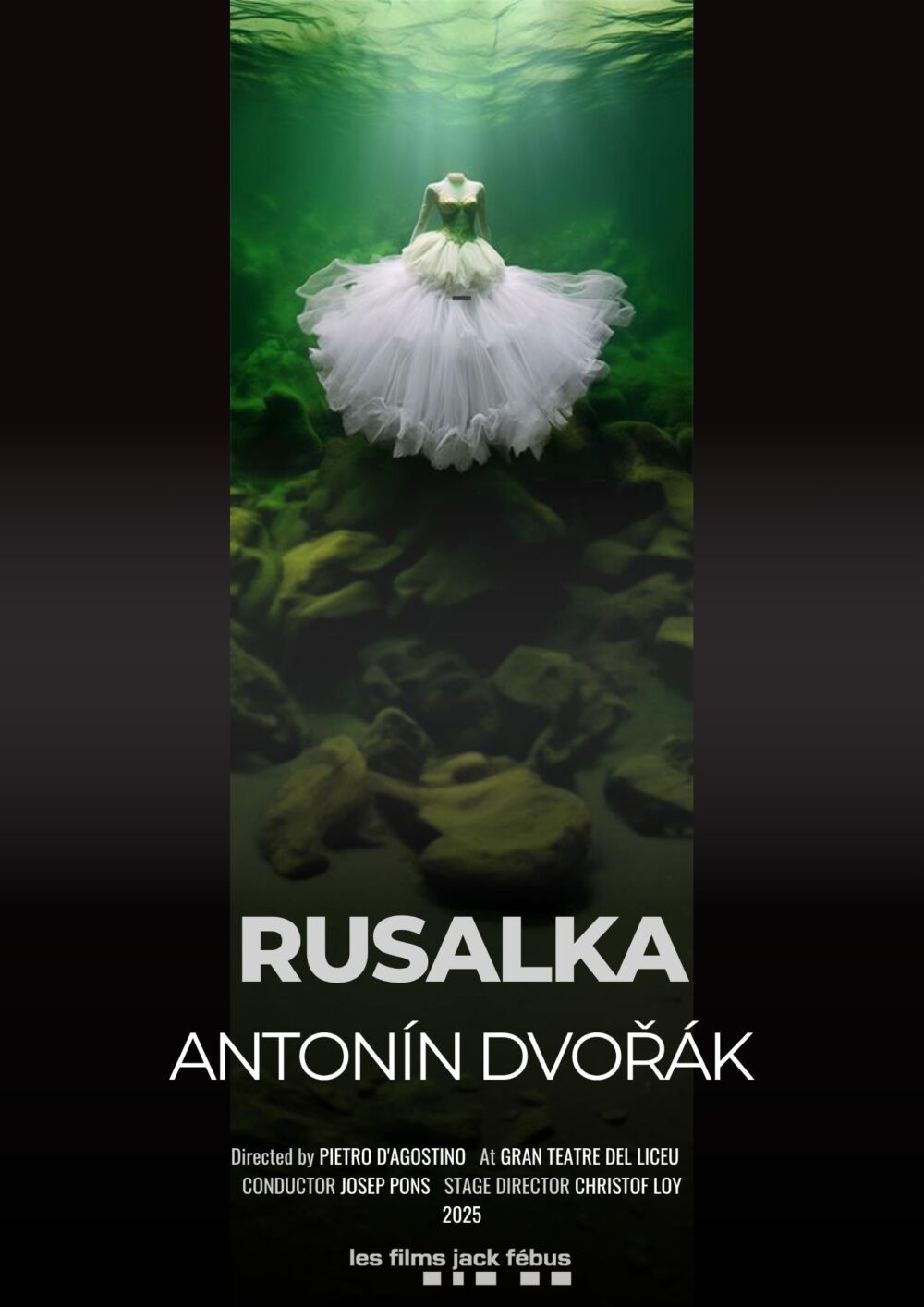 Rusalka by Antonín Dvorák at the Gran Teatre del Liceu, Barcelona Movie Cast, OTT, Budget, Box Office, And More