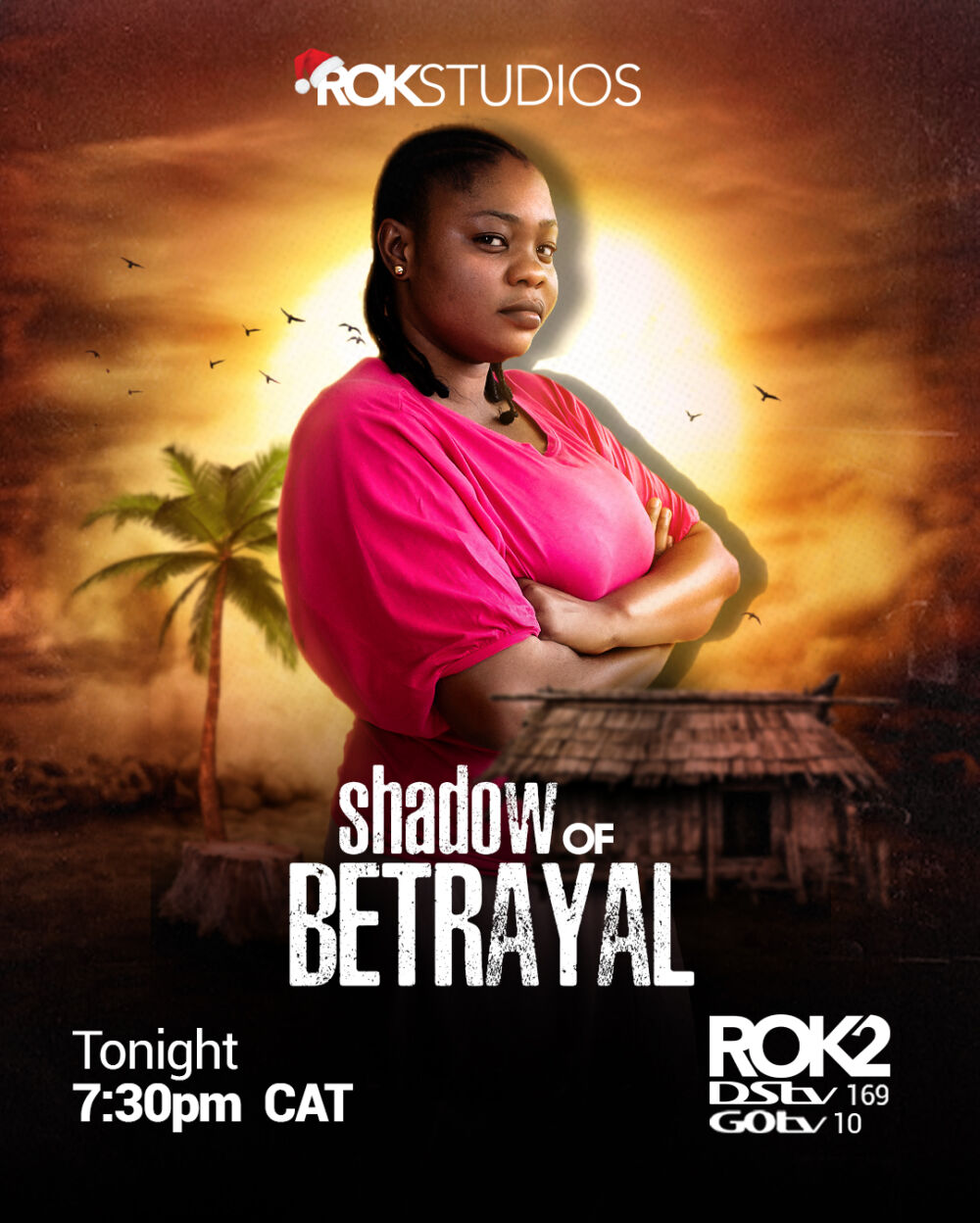 Shadow of Betrayal 2024 Movie Cast, OTT, Budget, Box Office, And More
