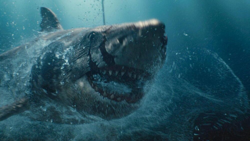 Sharp Teeth 2023 Movie Cast, OTT, Budget, Box Office, And More