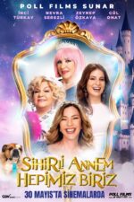 Sihirli Annem: Hepimiz Biriz 2025 Movie Cast, OTT, Budget, Box Office, And More